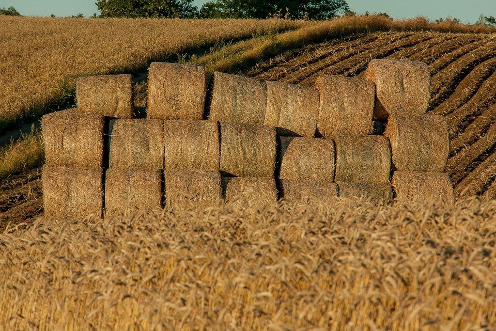 Jak wybrać idealną agroturystykę na późne wakacje? Praktyczny poradnik